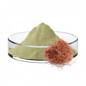 Corn Silk Extract