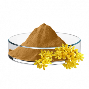 Rooibos Extract