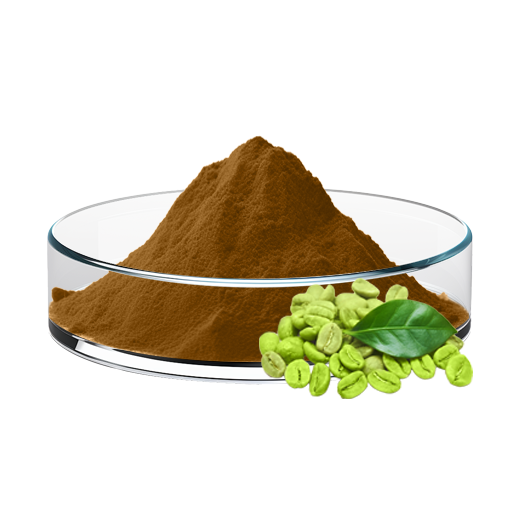Green Coffee Bean Extract (Chlorogenic Acid)