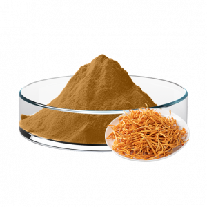 Cordyceps Militaris Powder