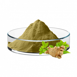 Gynura Procumbens Extract