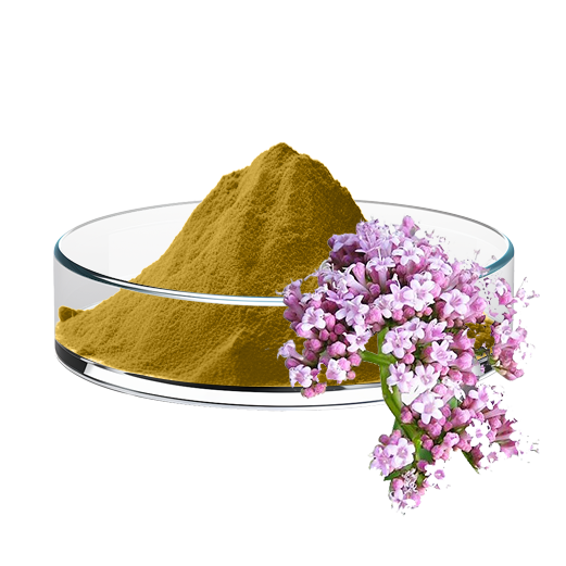 Valerian Extract