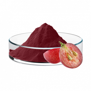 Grape Seed Extract (OPC)
