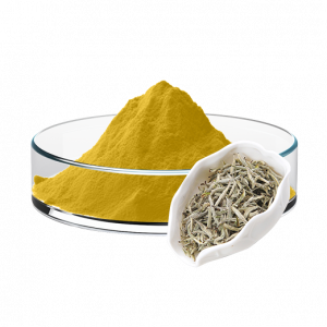 White Tea Extract