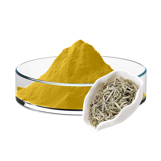 White Tea Extract