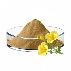 Evening Primrose Extract