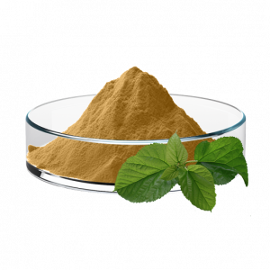 Mori Folium