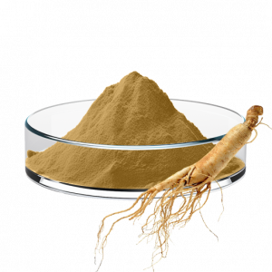 Ginseng