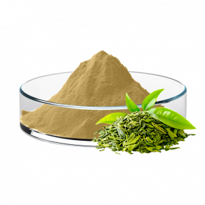 Green Tea Instant Powder