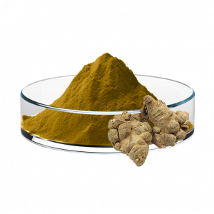 Notoginseng Extract