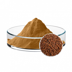 Buckwheat Extract