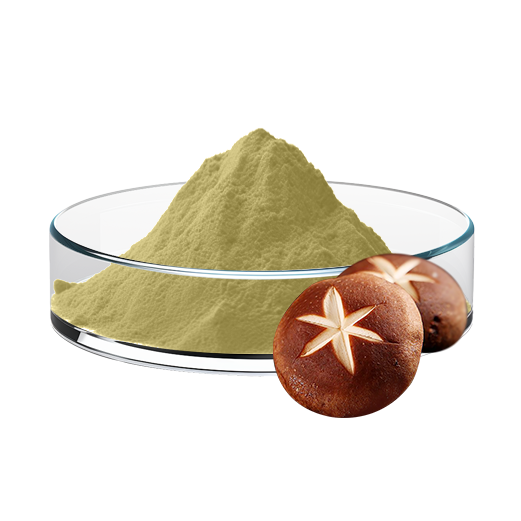 Mushroom Extract
