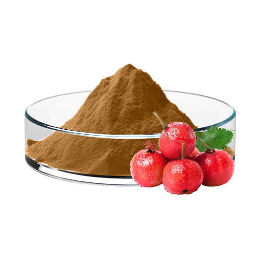 Hawthorn Fruit Extract