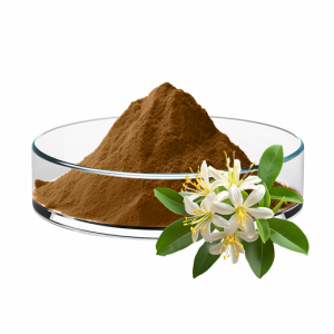 Honeysuckle Chlorogenic Acid Extract