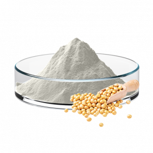 Soy Isoflavones P.e