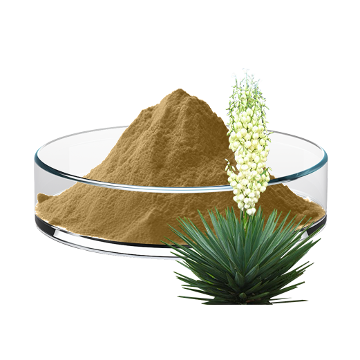 Yucca Extract