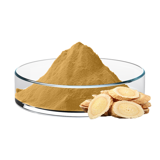 Astragalus Root Extract