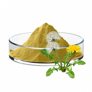 Dandelion Extract