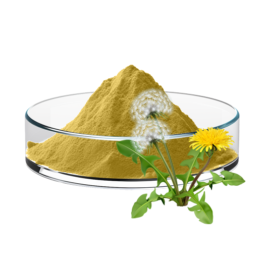 Dandelion Extract