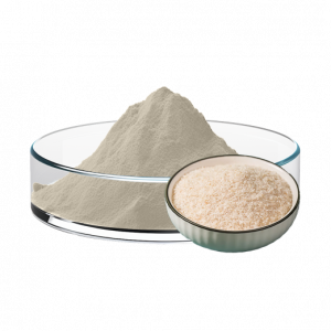 Semen Plantaginis Seed Shell Powder