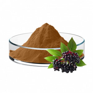 Siberian Ginseng P.e