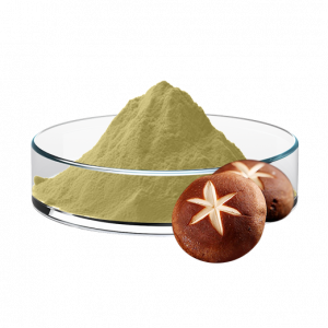Shiitake Mushroom Extract
