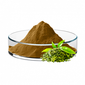 Tea Polyphenols
