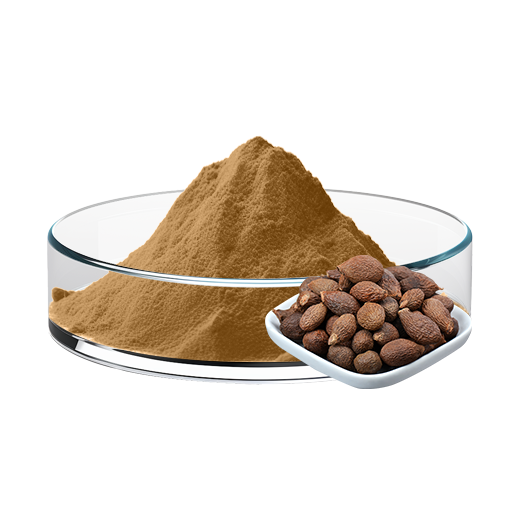 Boat-fruited Scaphium Seed