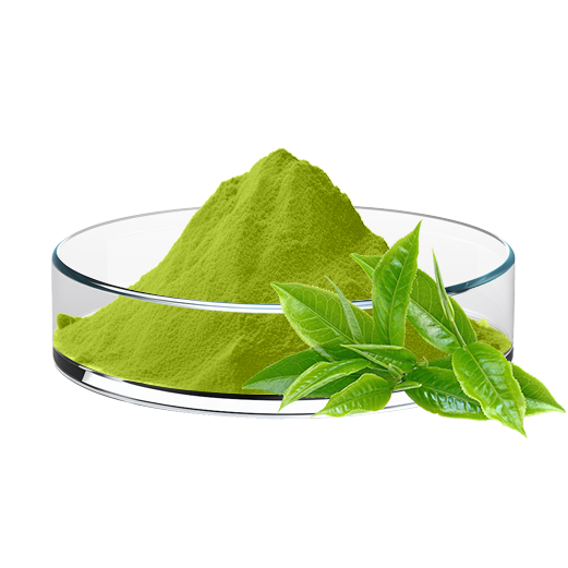 Matcha Powder
