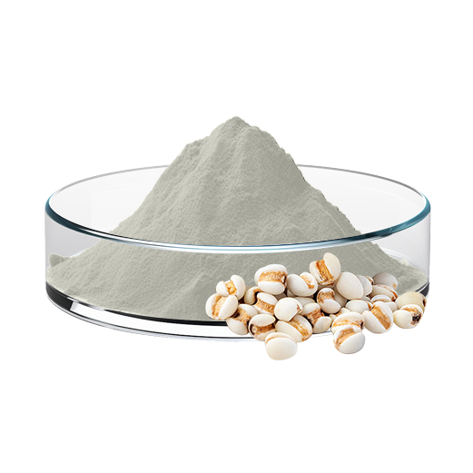 Semen Coicis