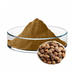 Sharpleaf Galangal Fruit Extract