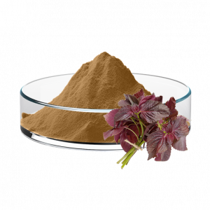 Perilla Leaf Extract