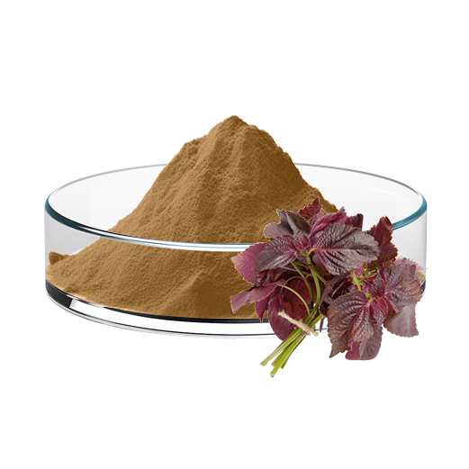 Perilla Leaf Extract
