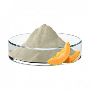 Cantaloupe powder