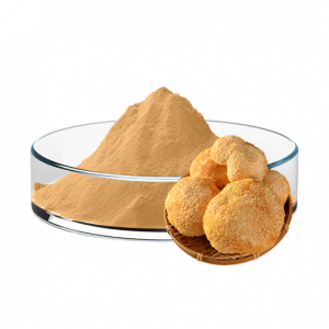 Lion's Mane Mushroom Powder (80 Mesh)