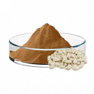 Ginkgo Extract