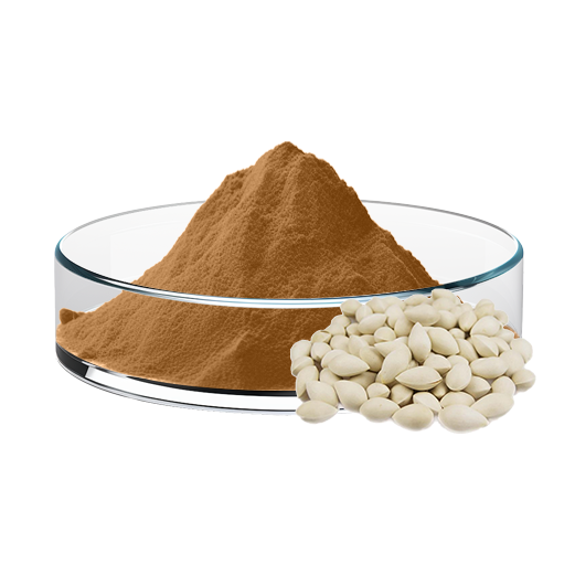Ginkgo Extract