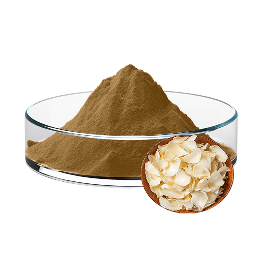 Lily Extract
