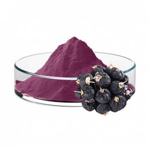 Lycium Ruthenicum Powder