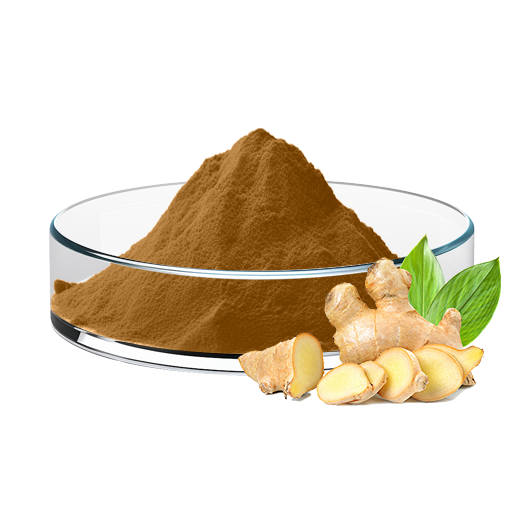 Ginger Extract