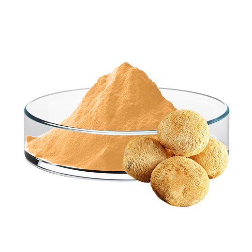 Hericium Mushroom Powder (Fine)