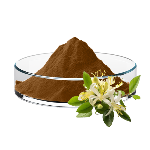 Honeysuckle Flower Extract