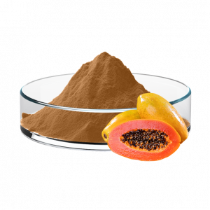 Papaya Powder
