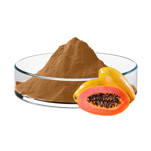 Papaya Powder