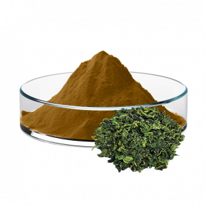 Mulberry Leaf Extract