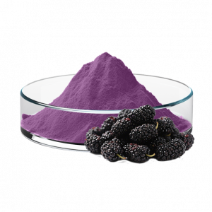 Mulberry Extract