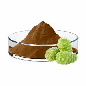 Noni fruit powder