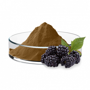 Mulberry Fruit Extract