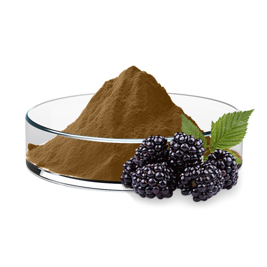 Mulberry Fruit Extract