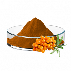 Sea Buckthorn Fruit Powder